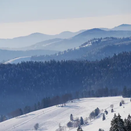 Fewo Schwarzwaldschick Feldberg - Wandern & Biken Ab Haustuer - Fuer Naturbegeisterte & Schwarzwald-Fans - Mit Whirlwanne Exterior photo