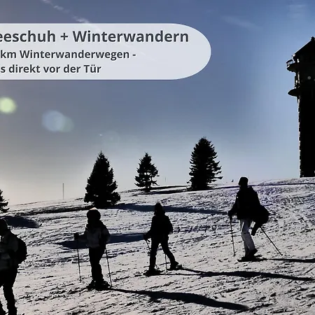 Fewo Schwarzwaldschick Feldberg - Wandern & Biken Ab Haustuer - Fuer Naturbegeisterte & Schwarzwald-Fans - Mit Whirlwanne Exterior photo