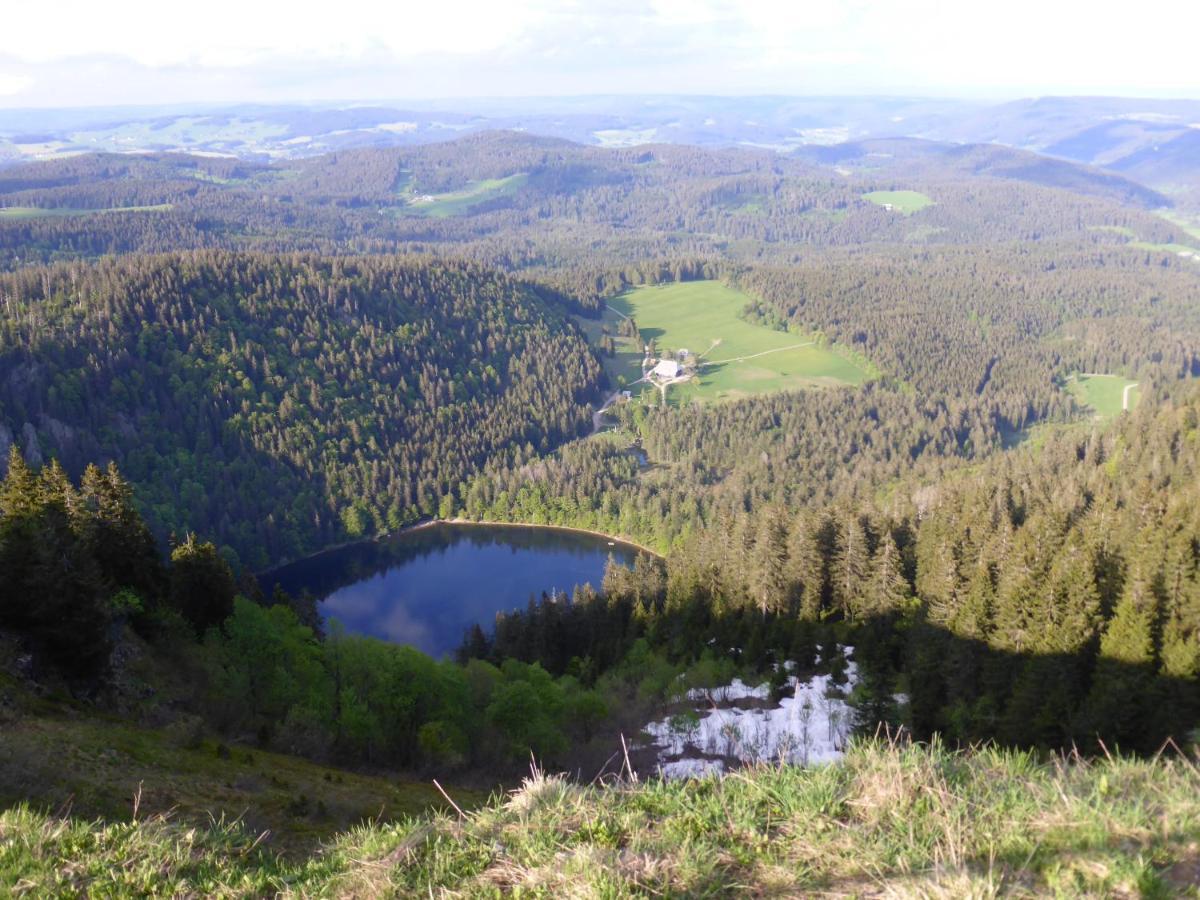Schwarzwaldschick Feldberg - Wandern & Biken Ab Haustuer - Fuer Naturbegeisterte & Schwarzwald-fans - Mit Whirlwanne Apartment *