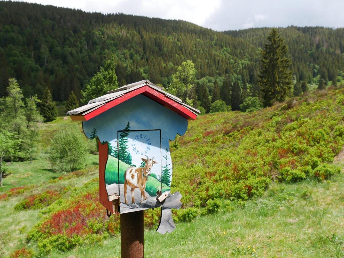 Apartment Schwarzwaldschick Feldberg - Wandern & Biken Ab Haustuer - Fuer Naturbegeisterte & Schwarzwald-fans - Mit Whirlwanne
