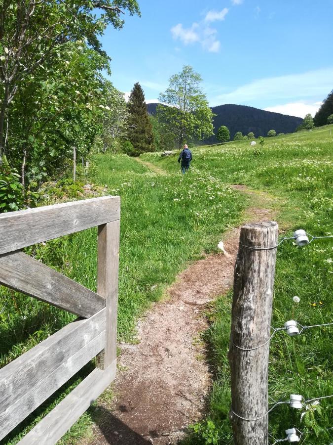 Apartment Schwarzwaldschick Feldberg - Wandern & Biken Ab Haustuer - Fuer Naturbegeisterte & Schwarzwald-fans - Mit Whirlwanne *