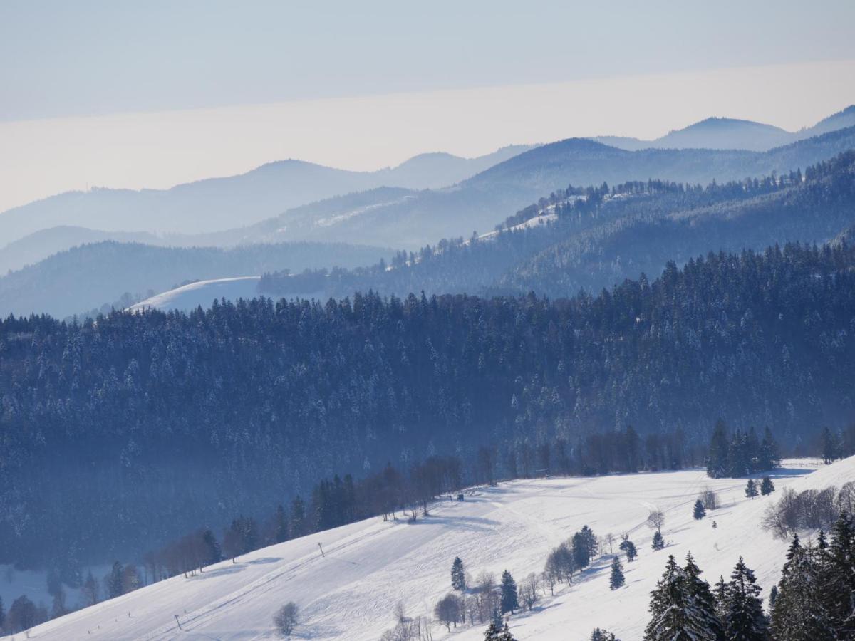 Apartment Schwarzwaldschick Feldberg - Wandern & Biken Ab Haustuer - Fuer Naturbegeisterte & Schwarzwald-fans - Mit Whirlwanne *