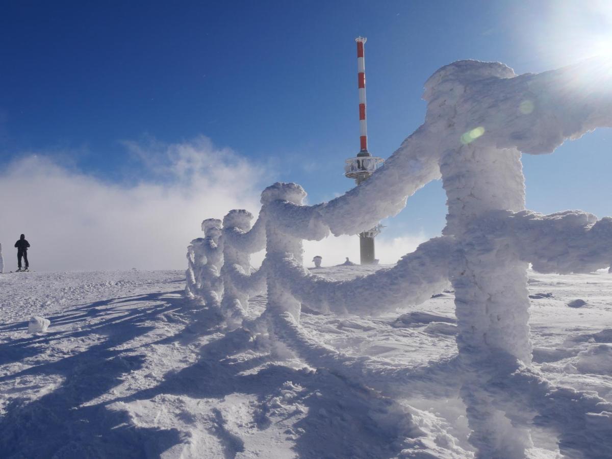 Schwarzwaldschick Feldberg - Wandern & Biken Ab Haustuer - Fuer Naturbegeisterte & Schwarzwald-fans - Mit Whirlwanne