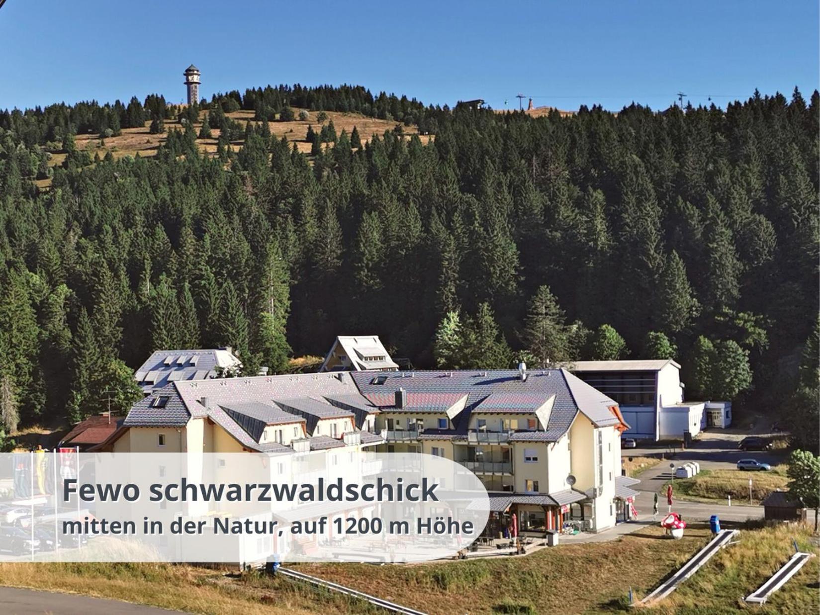 Schwarzwaldschick Feldberg - Wandern & Biken Ab Haustuer - Fuer Naturbegeisterte & Schwarzwald-fans - Mit Whirlwanne *