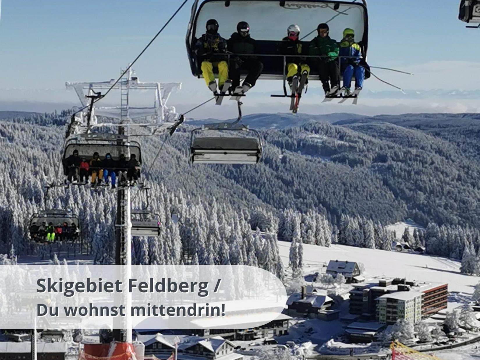Schwarzwaldschick Feldberg - Wandern & Biken Ab Haustuer - Fuer Naturbegeisterte & Schwarzwald-fans - Mit Whirlwanne Apartment