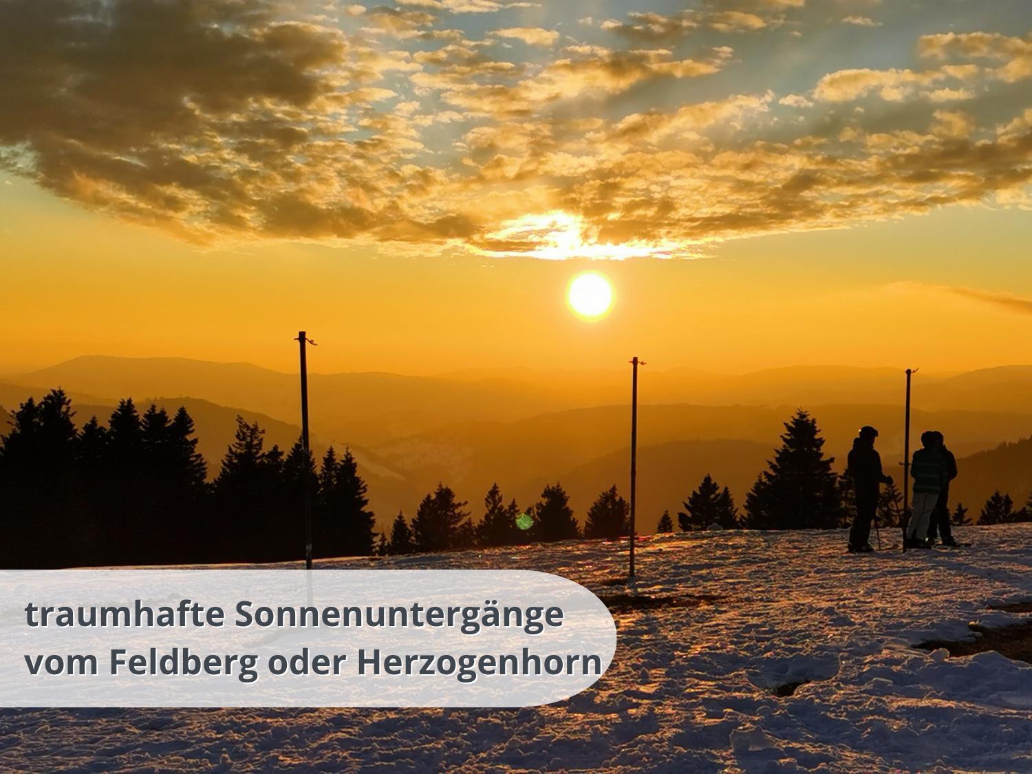 Schwarzwaldschick Feldberg - Wandern & Biken Ab Haustuer - Fuer Naturbegeisterte & Schwarzwald-fans - Mit Whirlwanne *