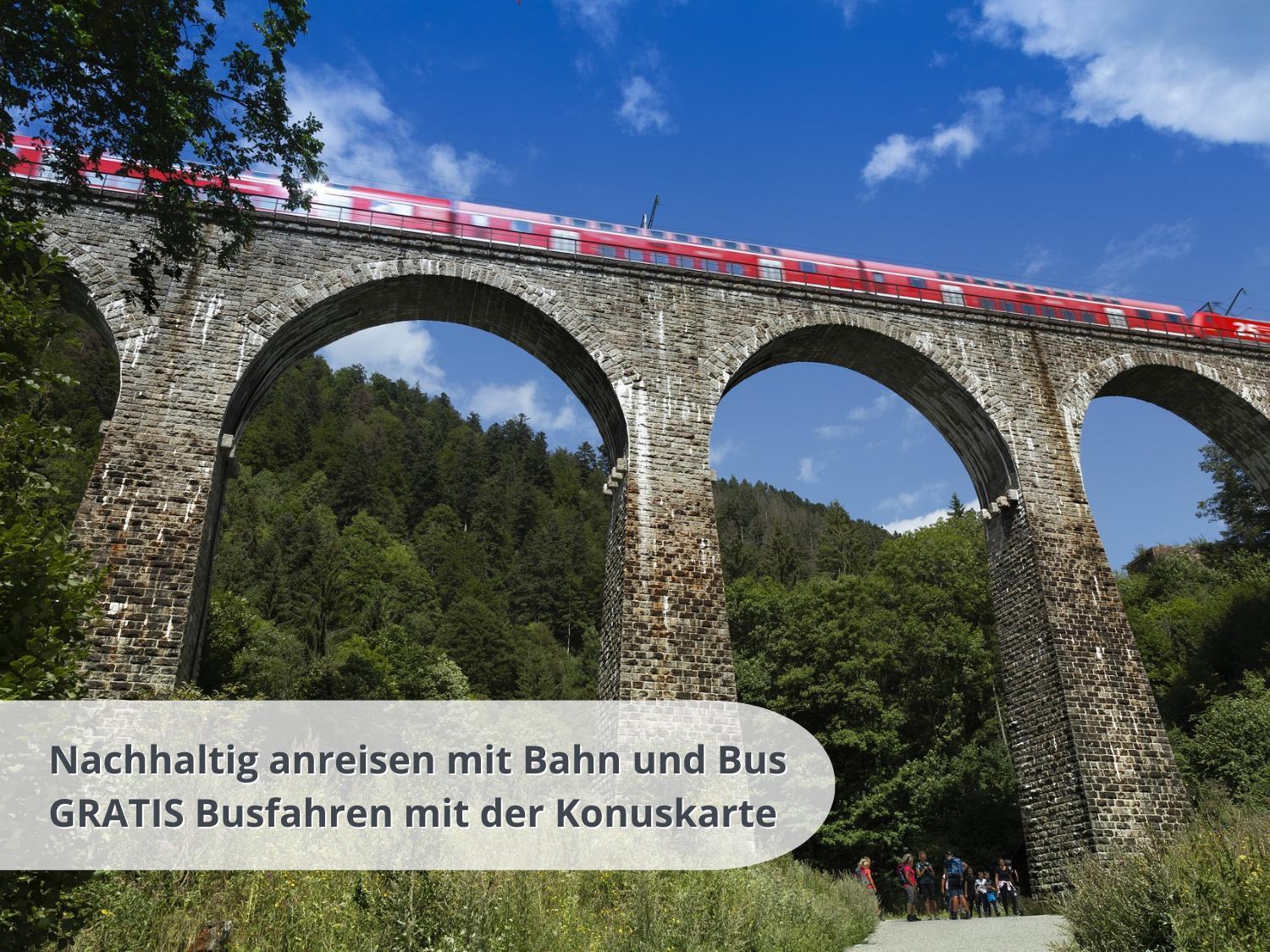 Schwarzwaldschick Feldberg - Wandern & Biken Ab Haustuer - Fuer Naturbegeisterte & Schwarzwald-fans - Mit Whirlwanne Feldberg (Baden-Wurttemberg)