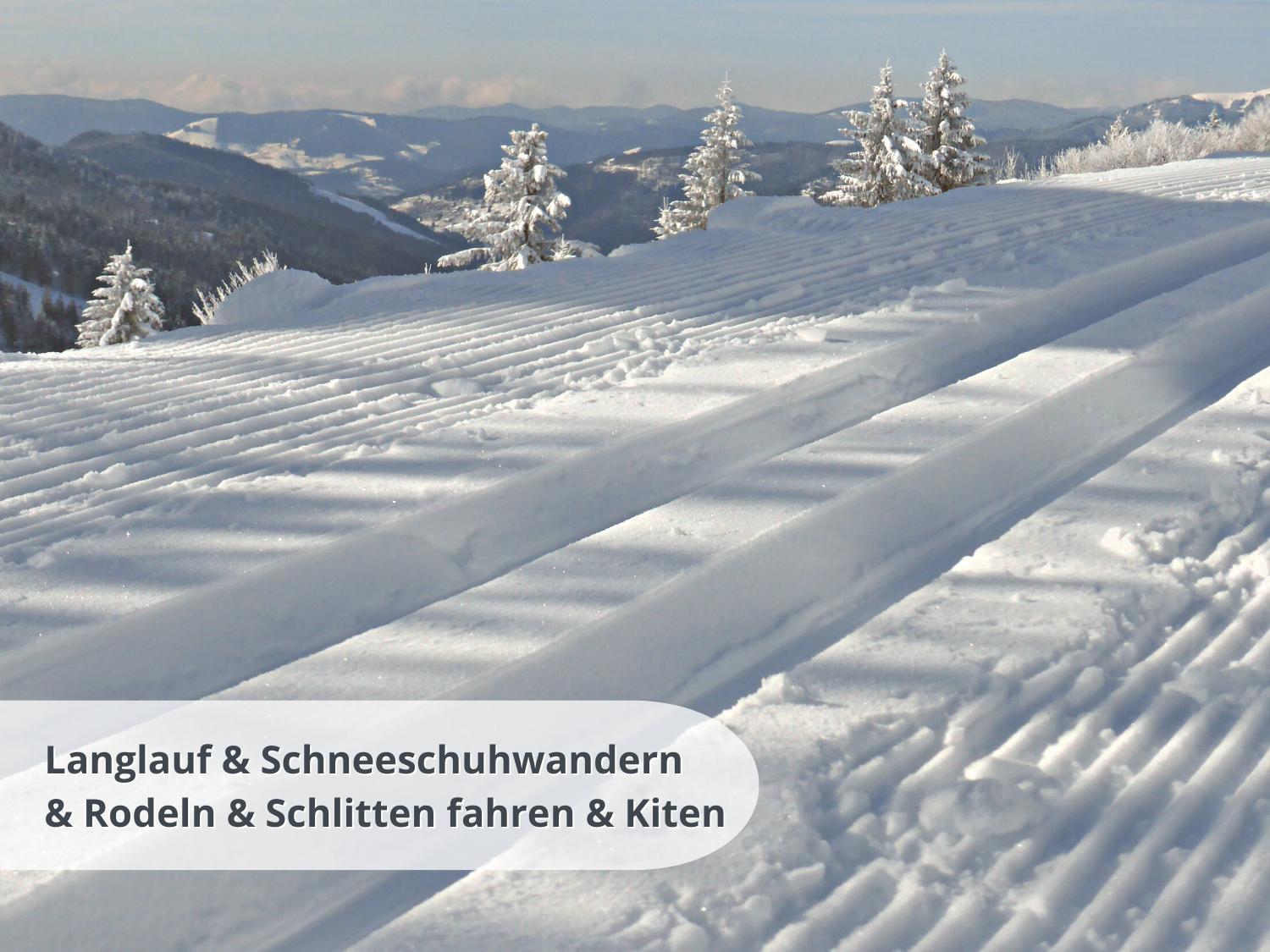 Schwarzwaldschick Feldberg - Wandern & Biken Ab Haustuer - Fuer Naturbegeisterte & Schwarzwald-fans - Mit Whirlwanne Apartment Feldberg (Baden-Wurttemberg)