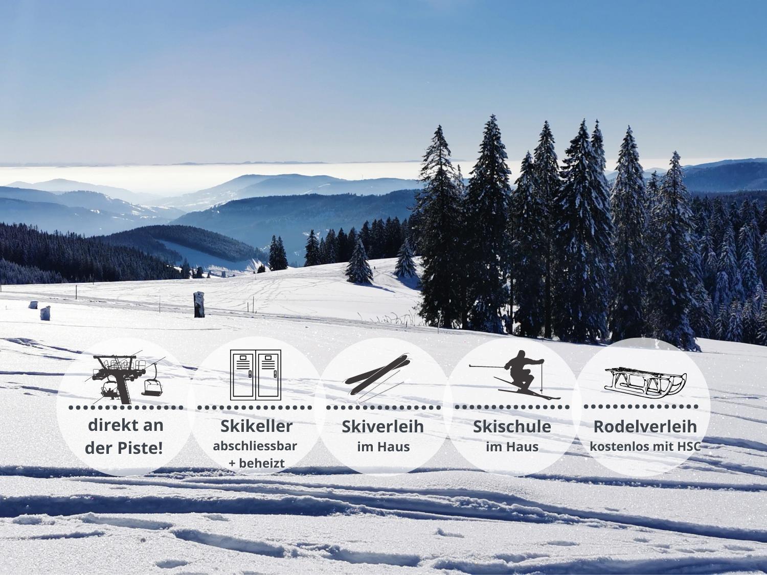Schwarzwaldschick Feldberg - Wandern & Biken Ab Haustuer - Fuer Naturbegeisterte & Schwarzwald-fans - Mit Whirlwanne * Feldberg (Baden-Wurttemberg)