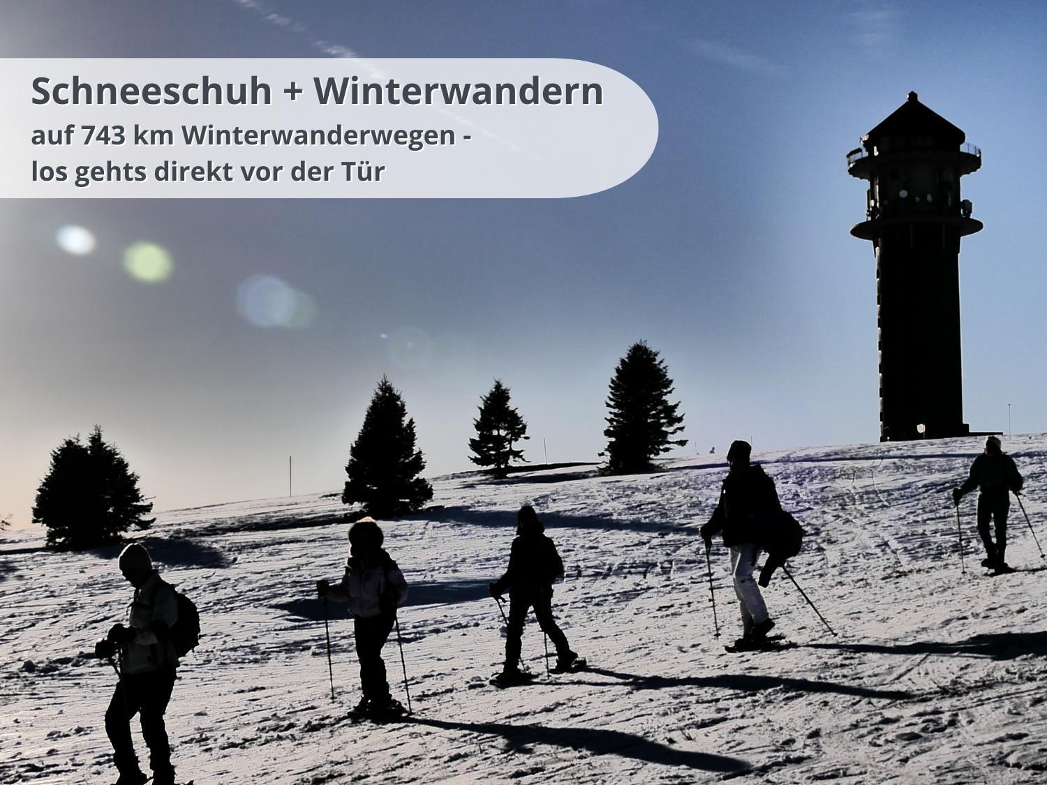 Apartment Schwarzwaldschick Feldberg - Wandern & Biken Ab Haustuer - Fuer Naturbegeisterte & Schwarzwald-fans - Mit Whirlwanne