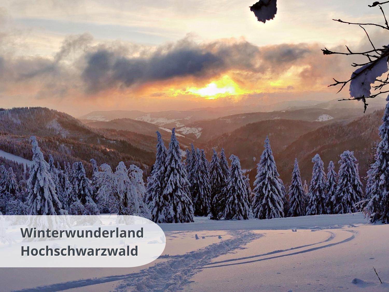 Schwarzwaldschick Feldberg - Wandern & Biken Ab Haustuer - Fuer Naturbegeisterte & Schwarzwald-fans - Mit Whirlwanne Feldberg (Baden-Wurttemberg)
