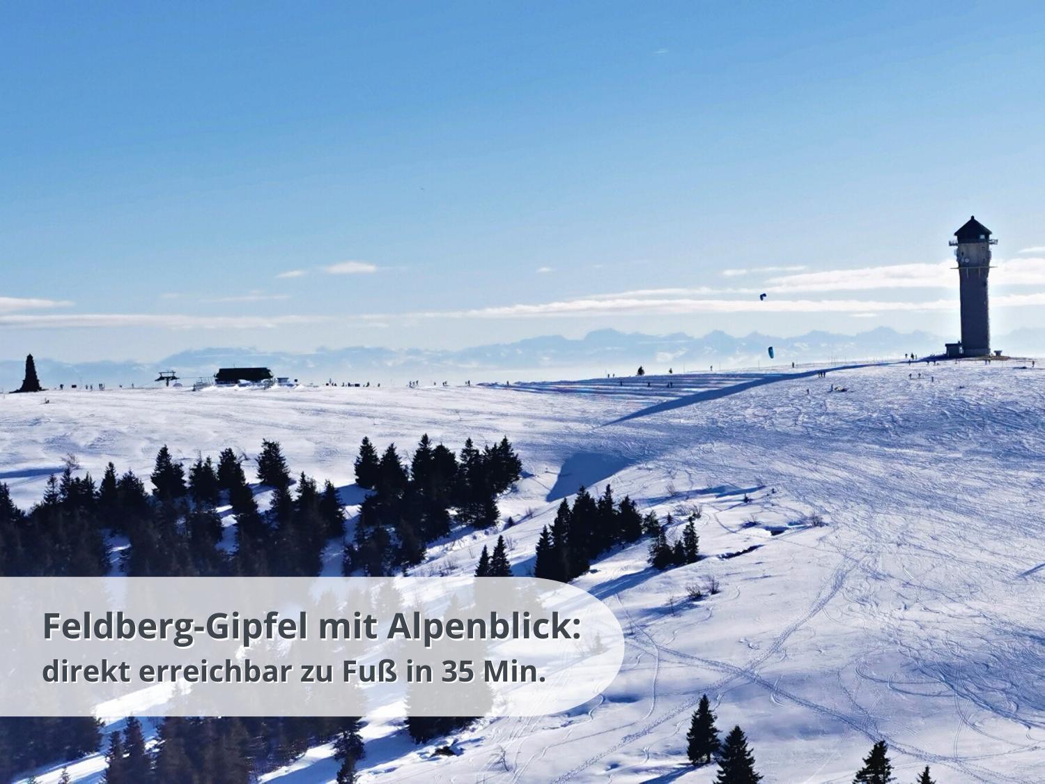 Schwarzwaldschick Feldberg - Wandern & Biken Ab Haustuer - Fuer Naturbegeisterte & Schwarzwald-fans - Mit Whirlwanne