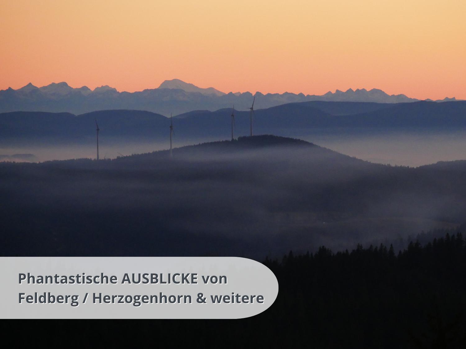 Schwarzwaldschick Feldberg - Wandern & Biken Ab Haustuer - Fuer Naturbegeisterte & Schwarzwald-fans - Mit Whirlwanne Apartment *