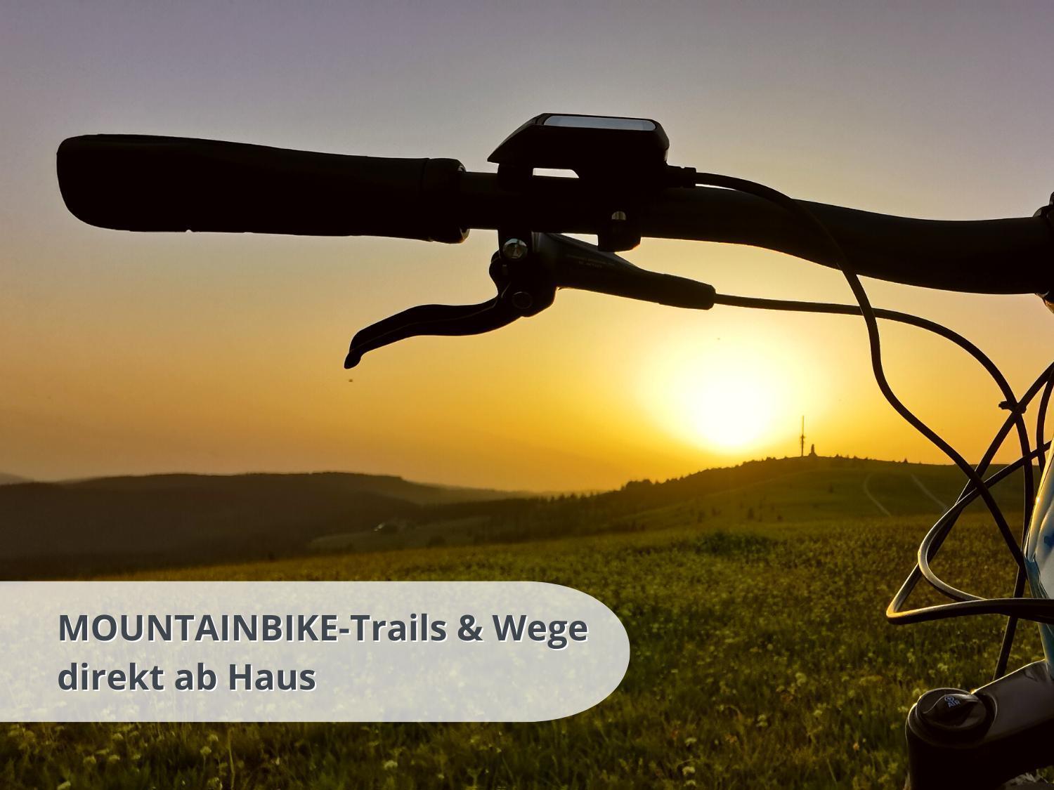 Schwarzwaldschick Feldberg - Wandern & Biken Ab Haustuer - Fuer Naturbegeisterte & Schwarzwald-fans - Mit Whirlwanne Apartment *