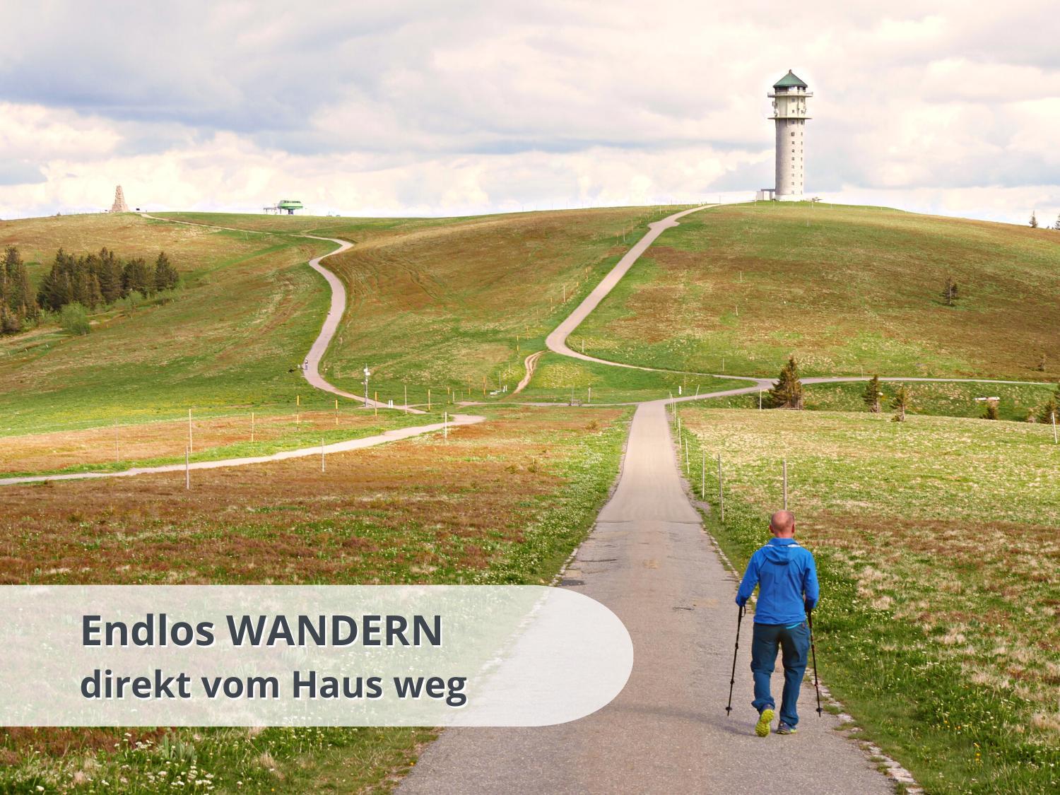 Apartment Schwarzwaldschick Feldberg - Wandern & Biken Ab Haustuer - Fuer Naturbegeisterte & Schwarzwald-fans - Mit Whirlwanne Feldberg (Baden-Wurttemberg)