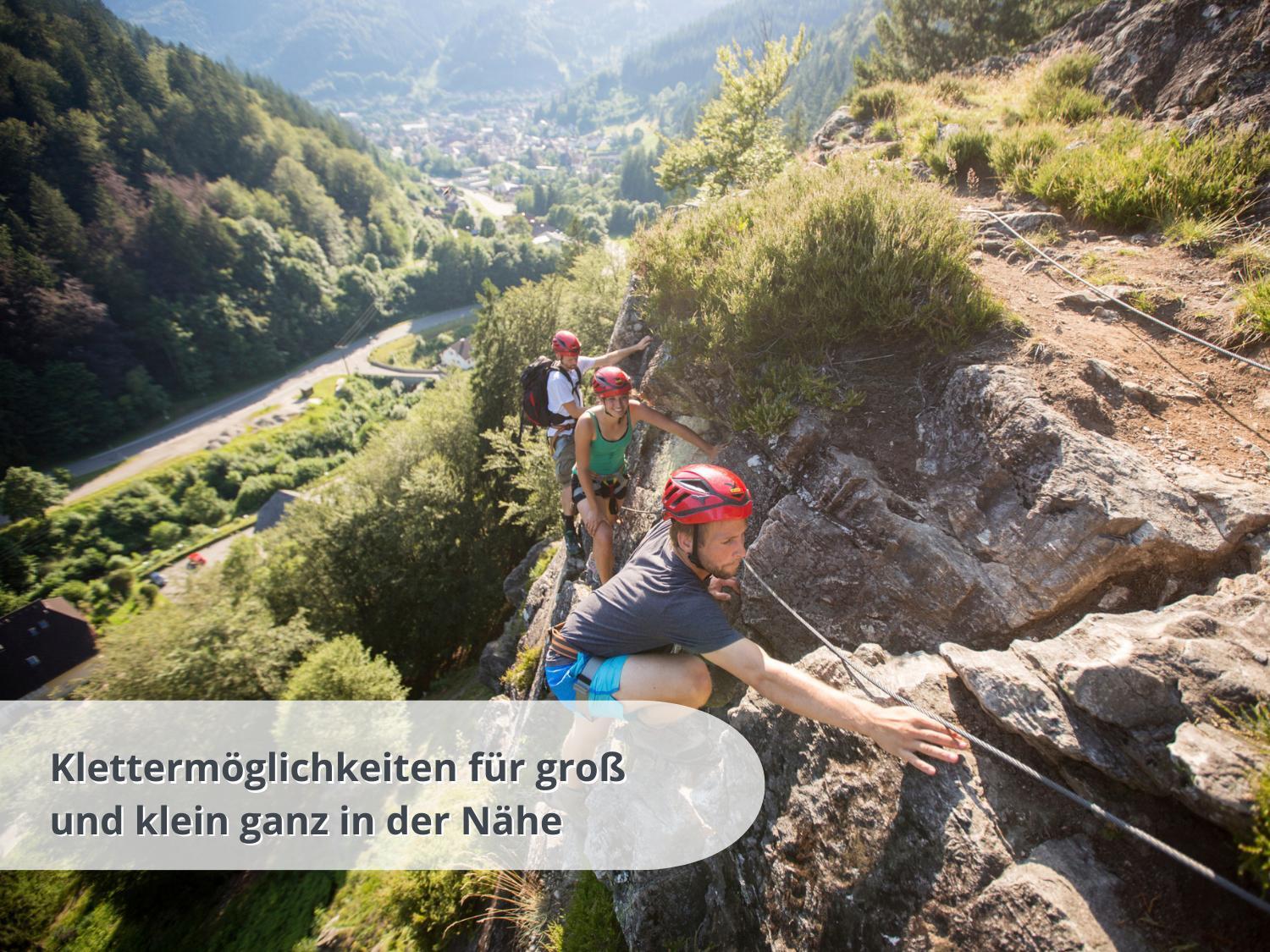 Schwarzwaldschick Feldberg - Wandern & Biken Ab Haustuer - Fuer Naturbegeisterte & Schwarzwald-fans - Mit Whirlwanne * Feldberg (Baden-Wurttemberg)