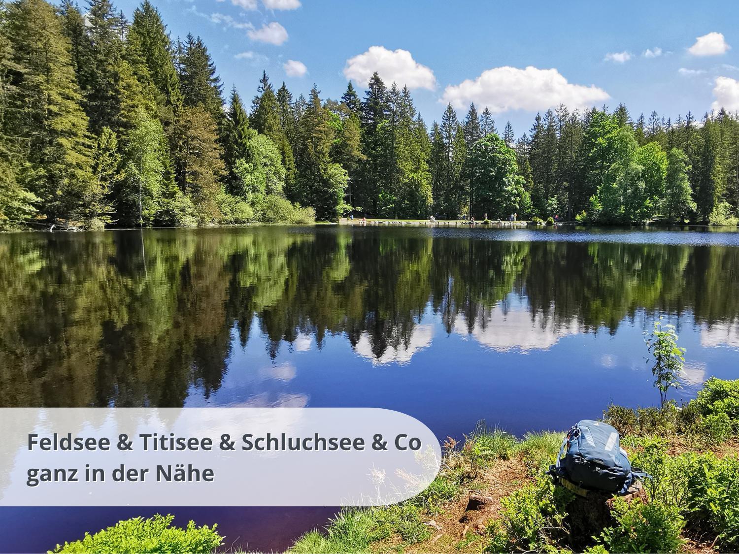 Apartment Schwarzwaldschick Feldberg - Wandern & Biken Ab Haustuer - Fuer Naturbegeisterte & Schwarzwald-fans - Mit Whirlwanne *