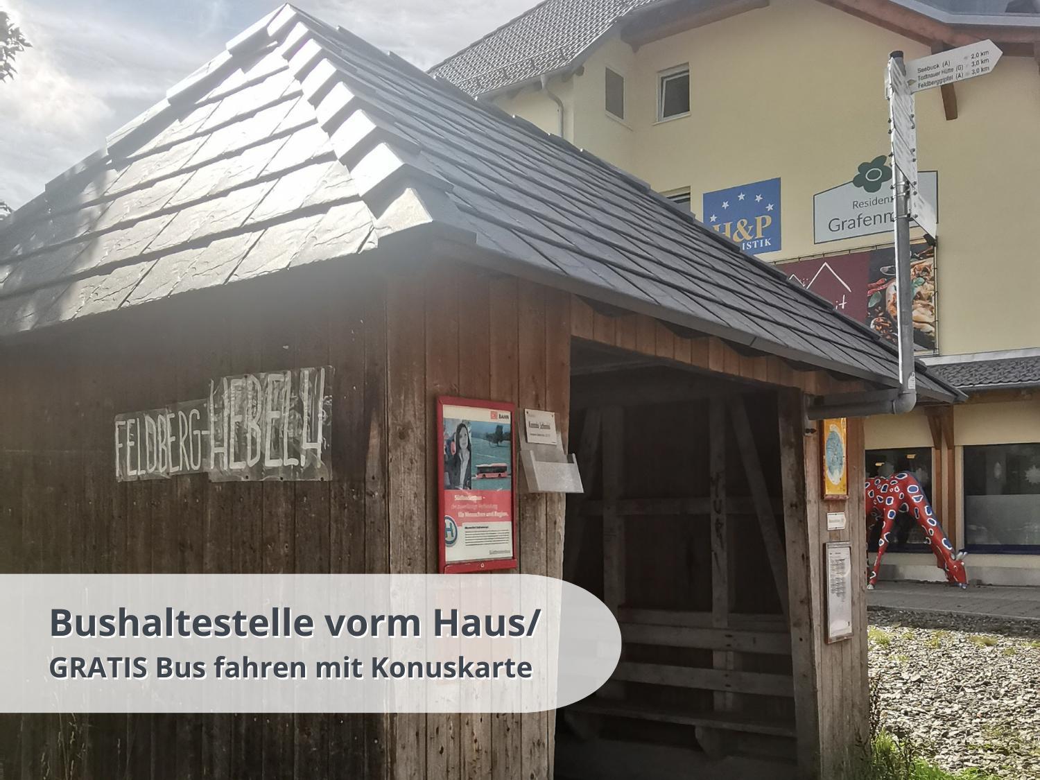 Schwarzwaldschick Feldberg - Wandern & Biken Ab Haustuer - Fuer Naturbegeisterte & Schwarzwald-fans - Mit Whirlwanne * Feldberg (Baden-Wurttemberg)