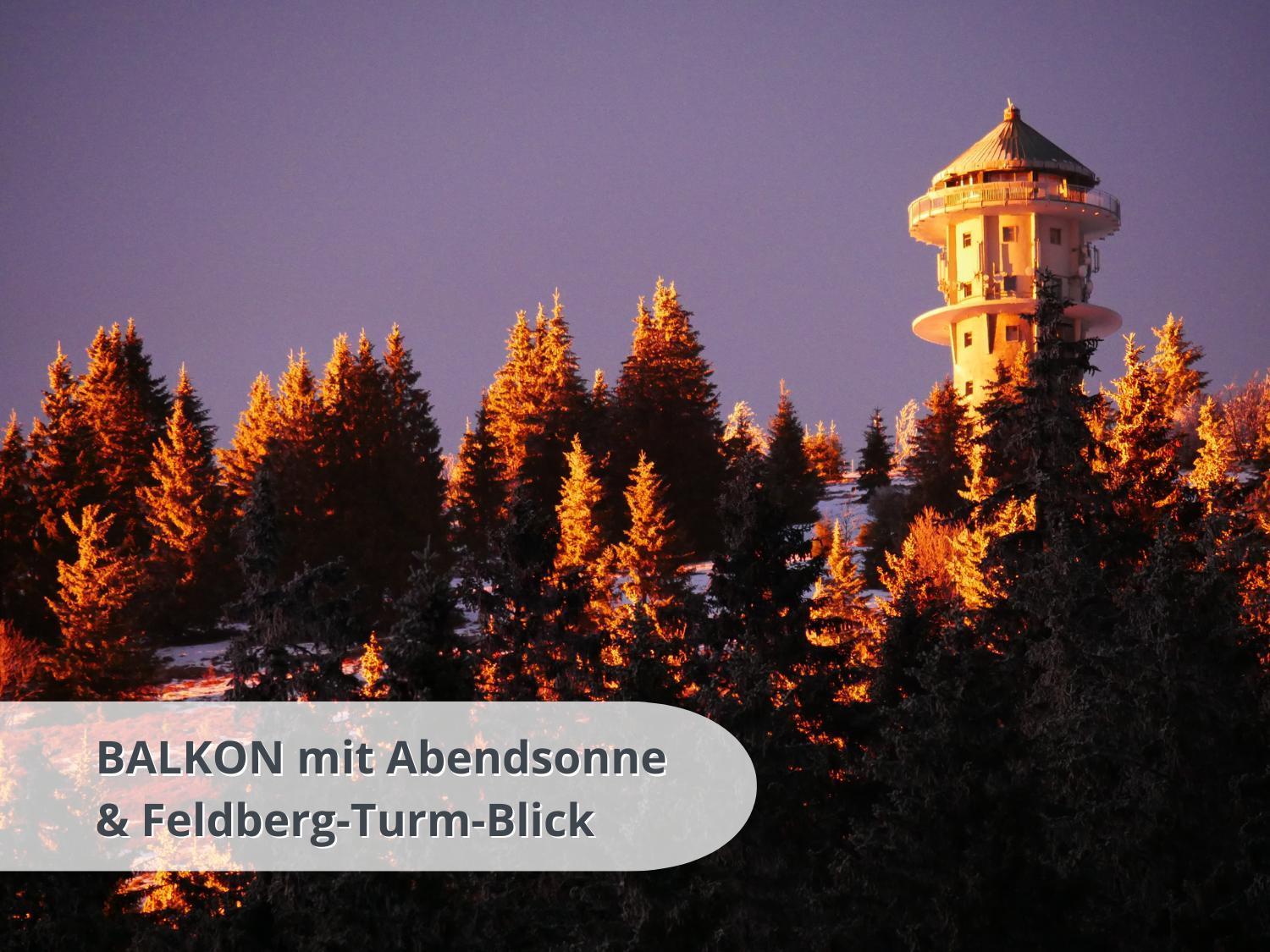 Schwarzwaldschick Feldberg - Wandern & Biken Ab Haustuer - Fuer Naturbegeisterte & Schwarzwald-fans - Mit Whirlwanne Apartment *